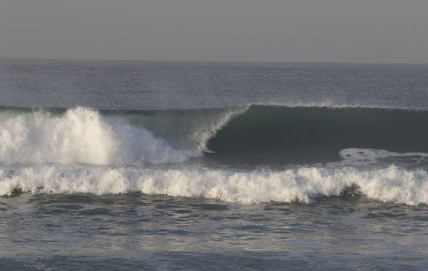 Dwyer Surf Team and Club 11/17/2016